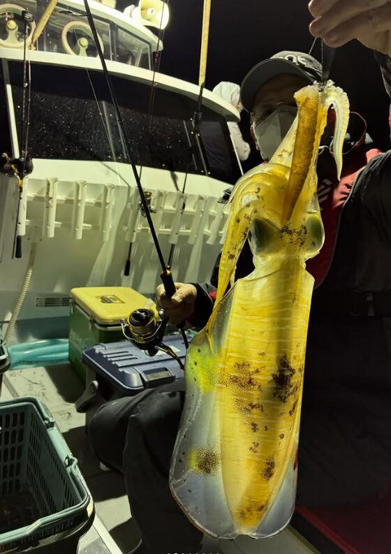 鳥取沖のアオリイカティップランで釣り上げられた良型のイカとロッドを持つお客様