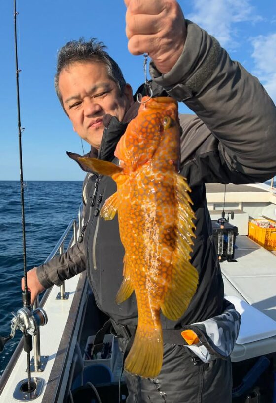 鳥取沖の根魚ジギング釣果。グレーのジャケットを着た男性が、鮮やかなオレンジ色の斑点が特徴的な良型のアコウ（キジハタ）を片手で高く持ち上げている様子。