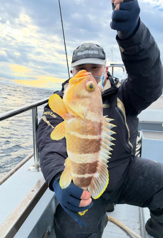 鳥取沖の根魚ジギングでキャッチされた良型アオハタ。シマノのキャップと黒の防寒スーツを着た男性が、青いグローブをつけた手で魚体を支え、ヒレをきれいに広げて見せている。夕暮れが近い空の下、船縁に座って撮影された一枚。